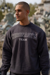 University Sweatshirt - Gris